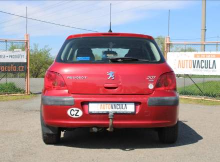 Peugeot - 307