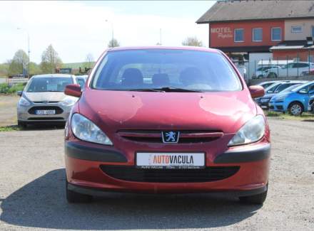 Peugeot - 307