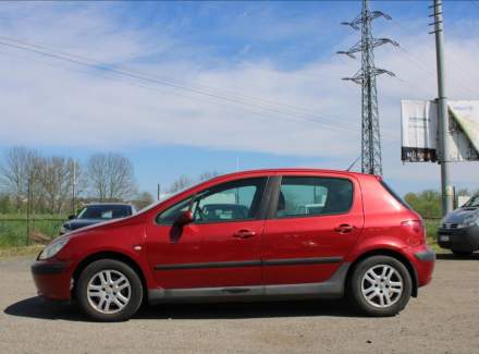 Peugeot - 307