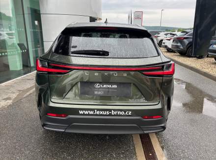 Lexus - NX