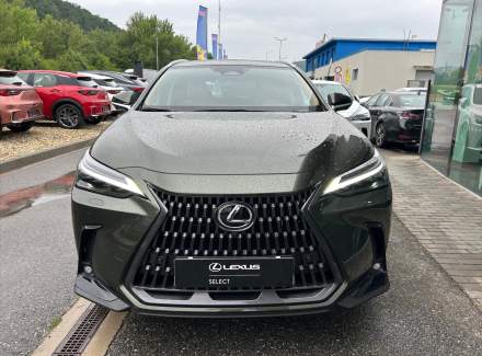 Lexus - NX