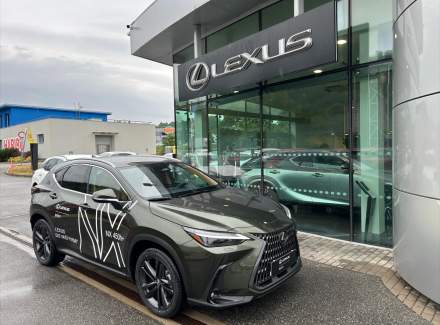 Lexus - NX