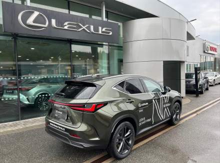 Lexus - NX