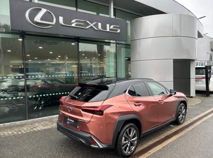 Lexus - UX