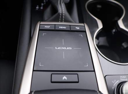 Lexus - RX