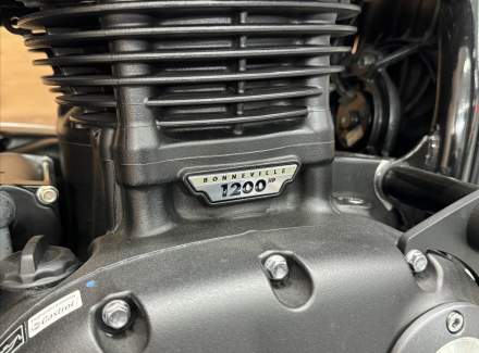 Triumph - Speed Twin