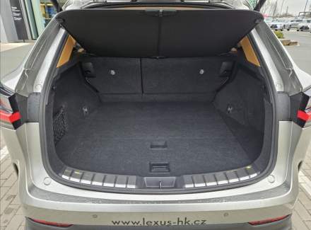 Lexus - NX
