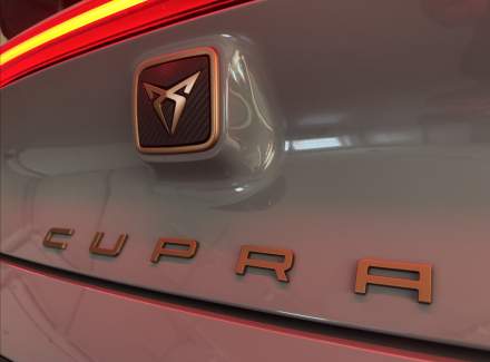 Cupra - Born