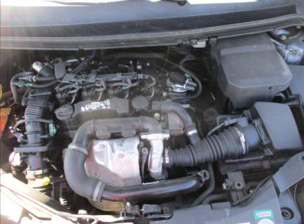 Ford - Focus