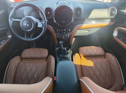 Mini - Countryman