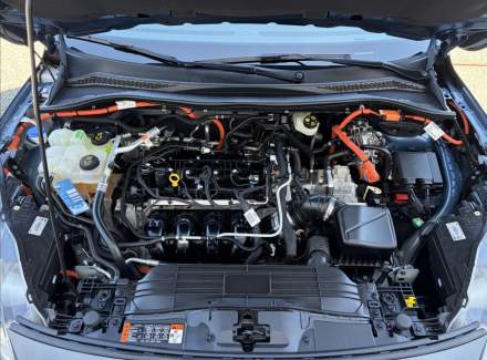 Ford - Kuga