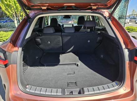 Lexus - NX