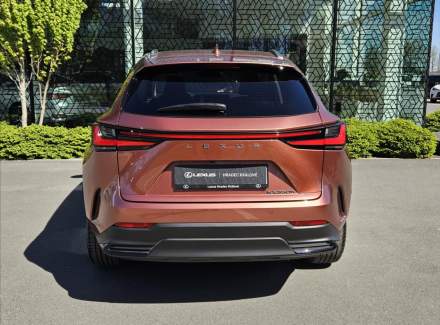 Lexus - NX