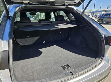 Lexus - RX