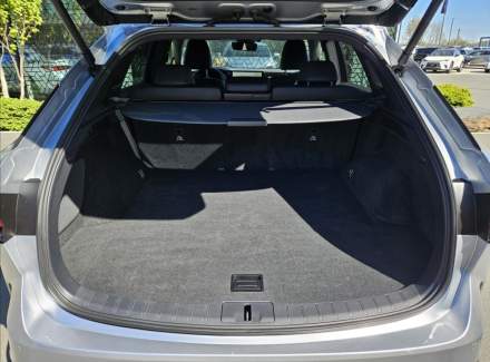 Lexus - RX