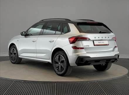 Škoda - Kamiq
