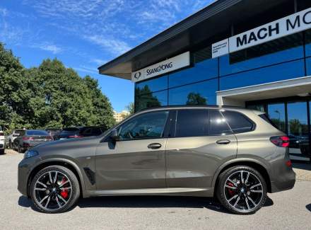 BMW - X5