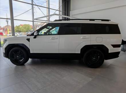 Hyundai - Santa FE