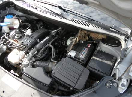 Volkswagen - Caddy