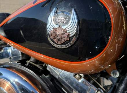 Harley-Davidson - Ostatní
