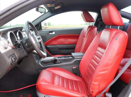Ford - Mustang