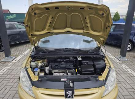 Peugeot - 307