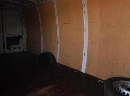 Iveco - Daily