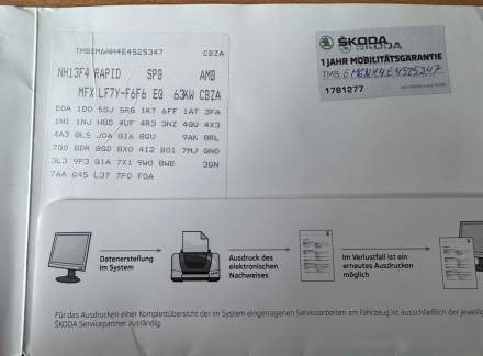 Škoda - Rapid