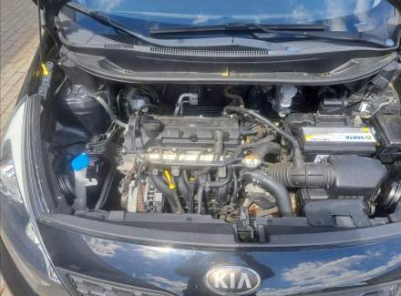 Kia - Rio