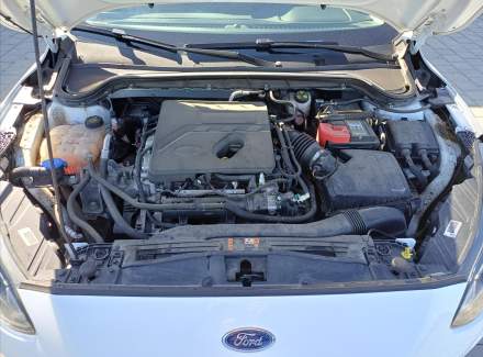 Ford - Focus