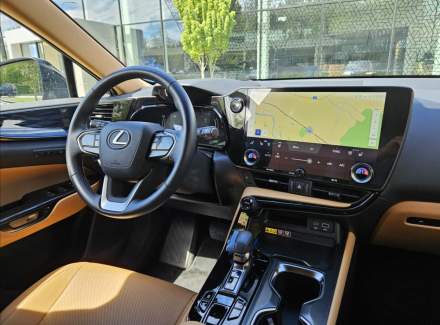 Lexus - NX