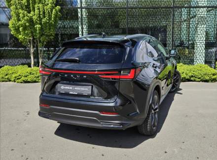 Lexus - NX