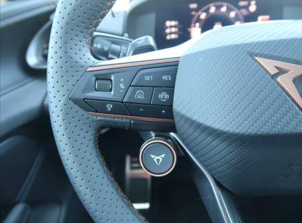 Cupra - Terramar