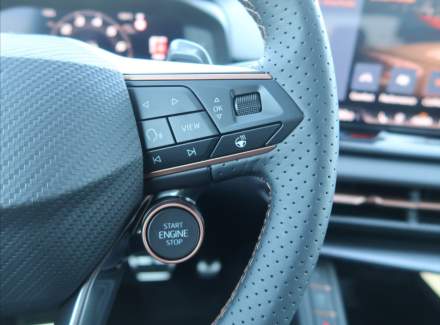 Cupra - Terramar