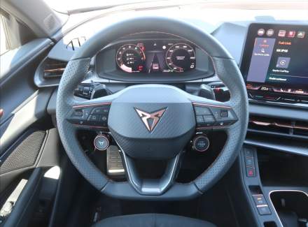 Cupra - Terramar
