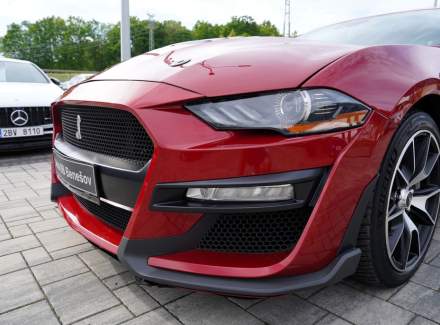 Ford - Mustang