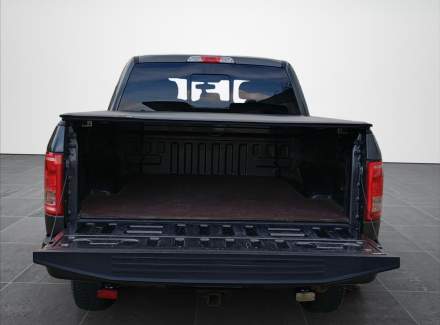 Ford - F-150