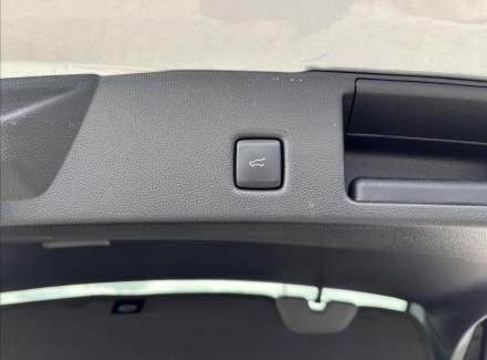 Ford - Kuga