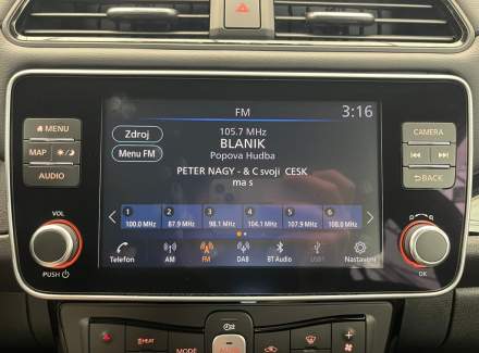 Nissan - Leaf