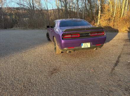Dodge - Challenger