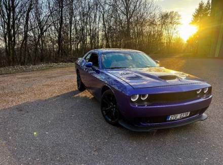 Dodge - Challenger