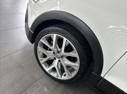 Volkswagen - Polo