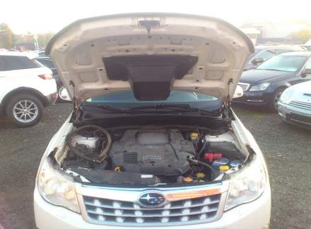Subaru - Forester
