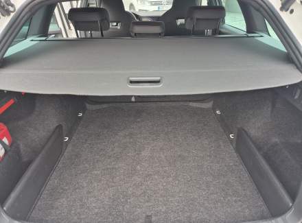 Škoda - Octavia RS 2.0 TSI (245 Hp) DSG