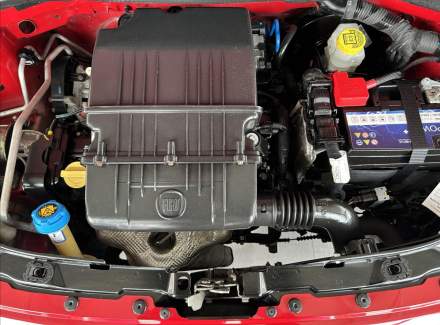 Fiat - 500