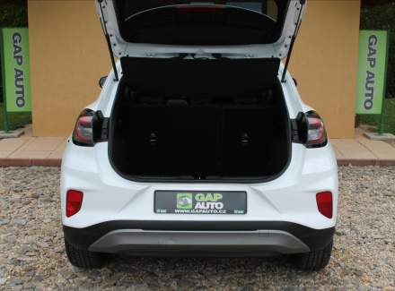 Ford - Puma