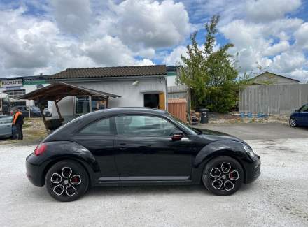 Volkswagen - Beetle