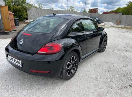 Volkswagen - Beetle