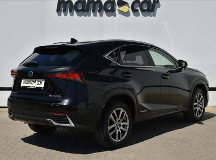 Lexus - NX