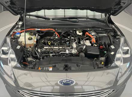 Ford - Kuga